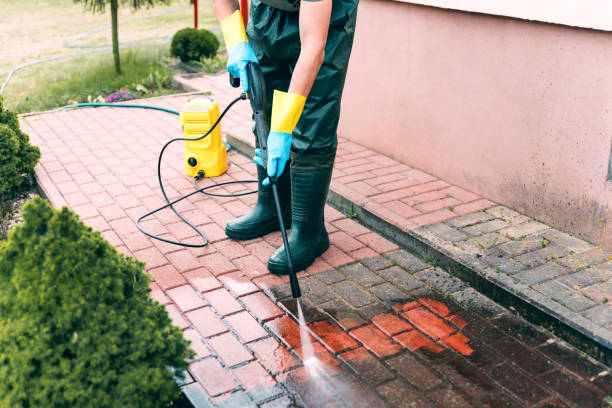 Best Animal Enclosure Cleaning  in Abbeville, GA