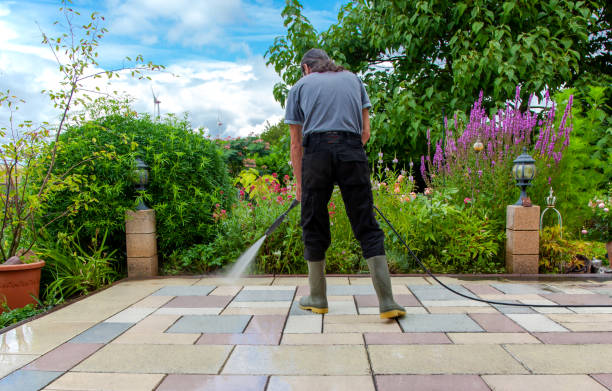 Best Driveway Pressure Washing  in Abbeville, GA